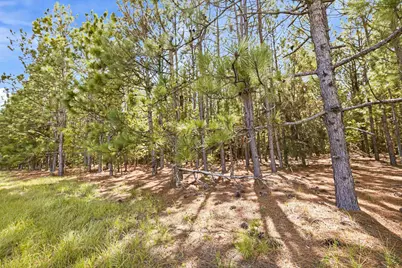 1569 Dave Plowden Pond Rd, Manning, SC 29102 - Photo 5