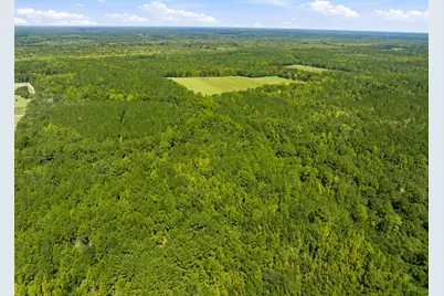 1569 Dave Plowden Pond Rd, Manning, SC 29102 - Photo 25