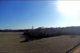 Tbd 13 Tyler Rd, Galivants Ferry, SC 29544 - Photo 23