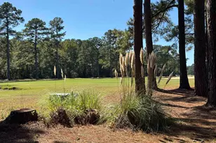 44 Patriot Ln, Georgetown, SC 29440 - Photo 13