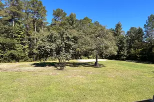2783 Willowdale Rd, Aynor, SC 29511 - Photo 71