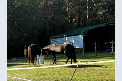 4224 Horse Pen Bay Rd., Aynor, SC 29511 - Photo 19