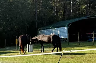 4224 Horse Pen Bay Rd, Aynor, SC 29511 - Photo 19