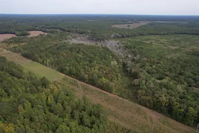 7+/- Acres Marion Church Rd., Salters, SC 29590 - Photo 9