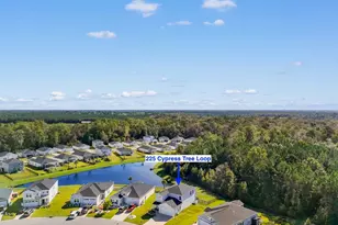 225 Cypress Tree Loop, Longs, SC 29568 - Photo 37