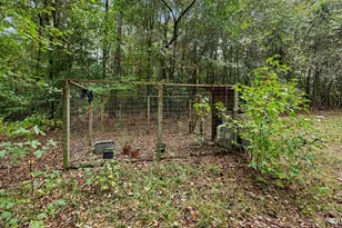 1068 Old River Rd, Fork, SC 29543 - Photo 13