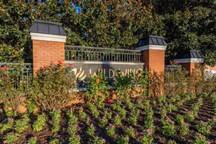 1108 Porchard Dr, Conway, SC 29526 - Photo 43