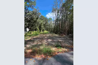 Tbd Waccamaw Lake Dr., Conway, SC 29526 - Photo 3