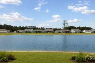 2501 Spring Rise Dr, Longs, SC 29568 - Photo 3