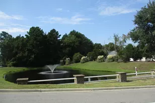 442 Dandelion Ln, Myrtle Beach, SC 29579 - Photo 29