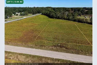 Tbd McCormick Rd., Hamer, SC 29547 - Photo 3