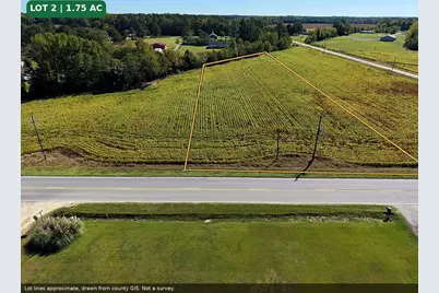 Tbd Highway 301, Hamer, SC 29547 - Photo 3