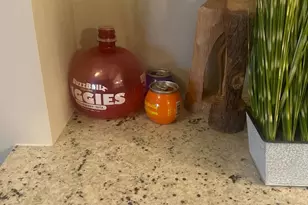 1513 26th Ave N, North Myrtle Beach, SC 29582 - Photo 39