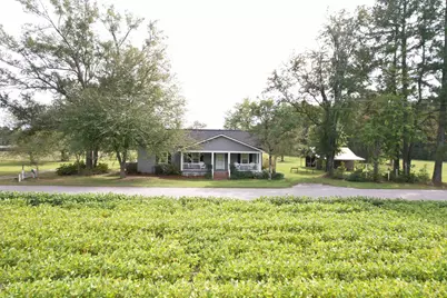 225 Richburg Rd, Greeleyville, SC 29056 - Photo 59