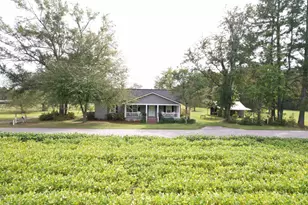 225 Richburg Rd, Greeleyville, SC 29056 - Photo 59