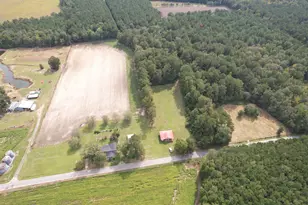 225 Richburg Rd, Greeleyville, SC 29056 - Photo 61
