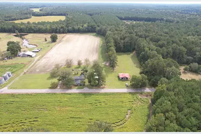 225 Richburg Rd, Greeleyville, SC 29056 - Photo 63