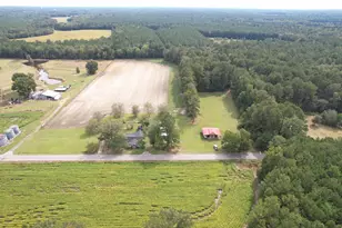 225 Richburg Rd, Greeleyville, SC 29056 - Photo 63