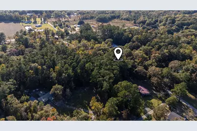 Tbd Barnes Rd., Andrews, SC 29510 - Photo 5