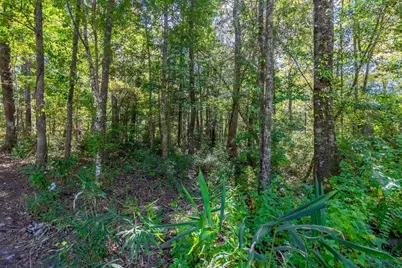 Tbd Barnes Rd., Andrews, SC 29510 - Photo 17