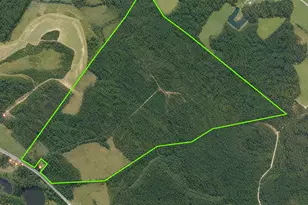 228 79 Acres Back Swamp Rd, Lynchburg, SC 29080 - Photo 1