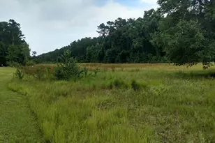 2516 N Fraser St, Georgetown, SC 29440 - Photo 1
