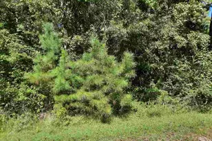 Lot 9 E Wisteria Dr, Hemingway, SC 29554 - Photo 1