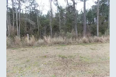 S Highway 701 South, Conway, SC 29527 - Photo 1