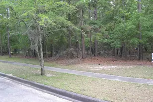 1867 Old Town Ave, Georgetown, SC 29440 - Photo 1