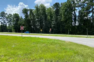 Tbd Hwy 501, Aynor, SC 29511 - Photo 1