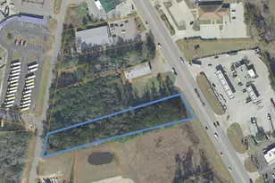 Tbd Hwy 501, Aynor, SC 29511 - Photo 1