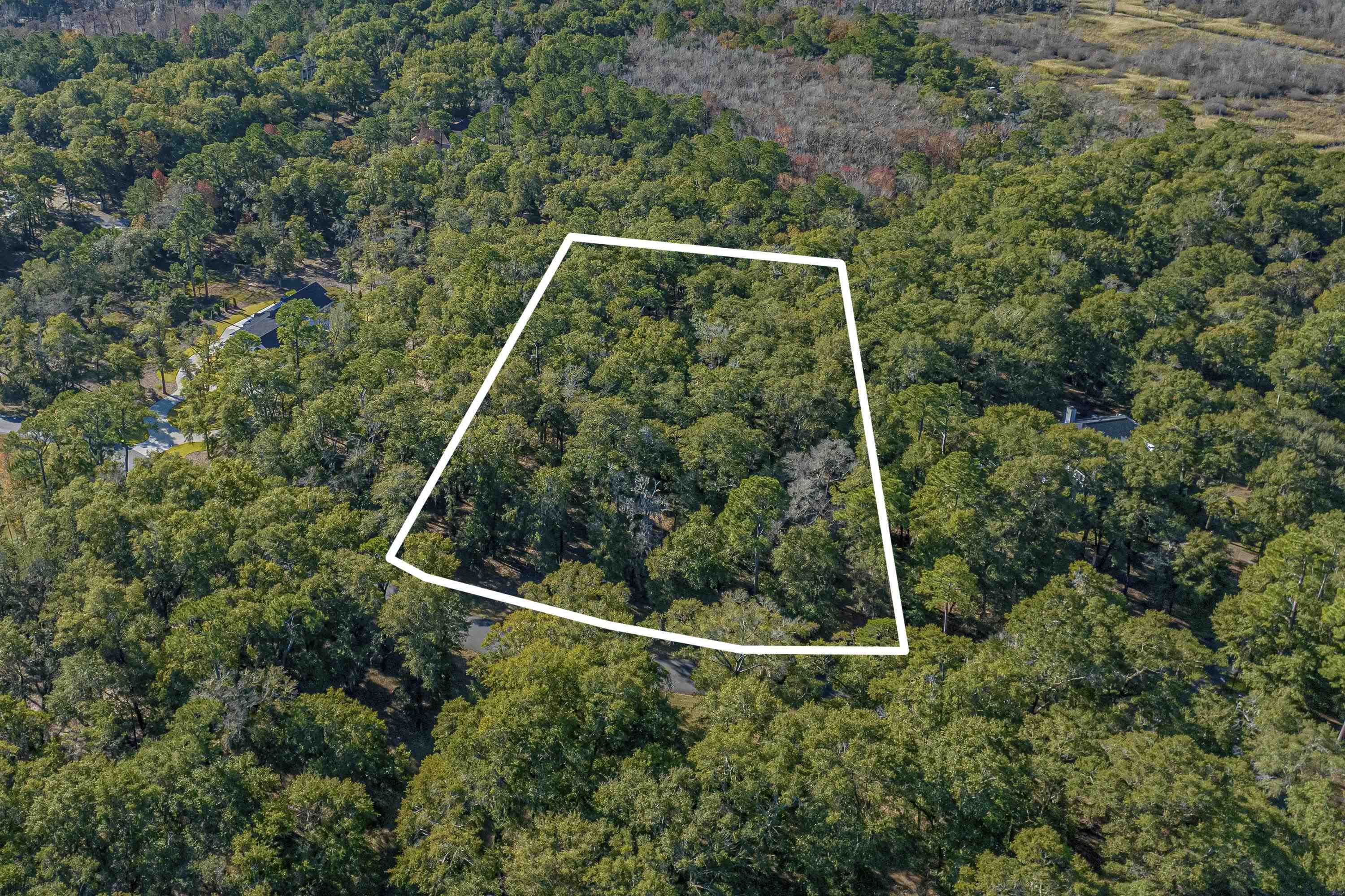 83 Pipedown Landing Dr, Pawleys Island, SC 29585 MLS 2226013