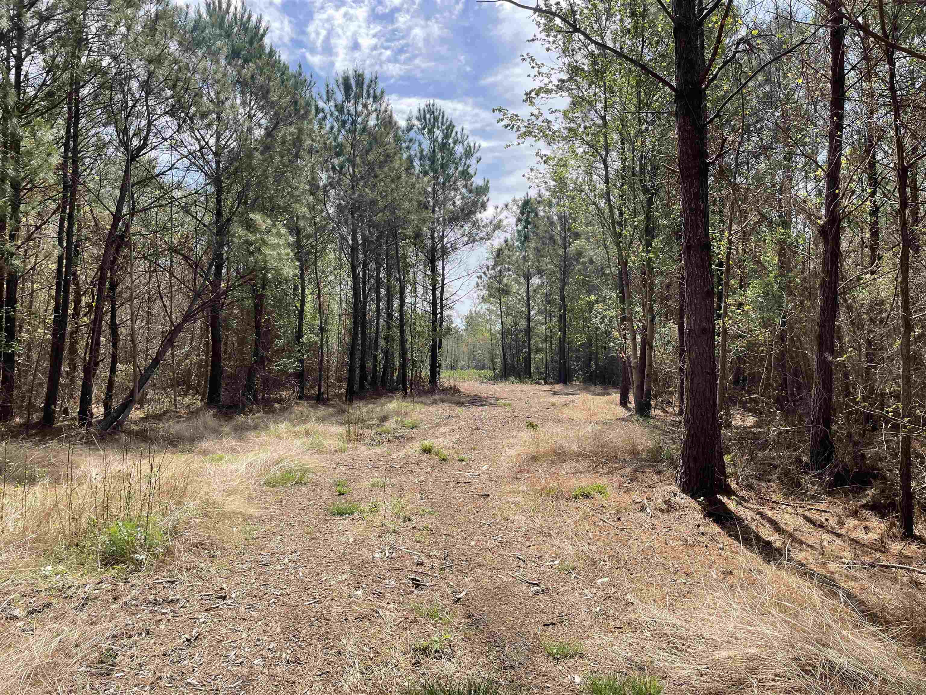 Tbt Frank Cribb Rd, Hemingway, SC 29554 MLS 2305943 Coldwell Banker