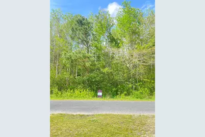 Tbd Highway 762, Loris, SC 29569 - Photo 1