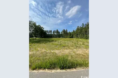 Sioux Swamp Dr., Conway, SC 29527 - Photo 1