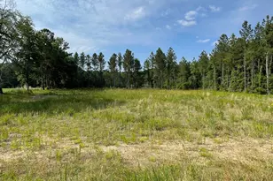 Sioux Swamp Dr, Conway, SC 29527 - Photo 1