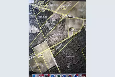 1677 Cockfield Rd., Scranton, SC 29591 - Photo 1