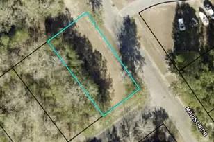 92 Duany Dr, Georgetown, SC 29440 - Photo 1