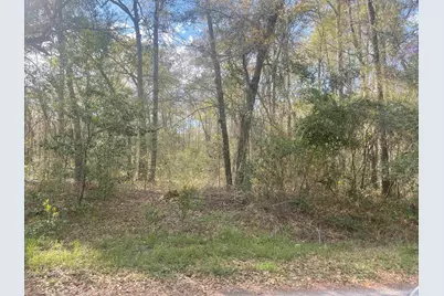 Tbd Senior Rd., Kingstree, SC 29556 - Photo 1