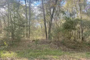 Tbd Senior Rd, Kingstree, SC 29556 - Photo 1