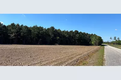 Tbd McClellan Rd., Hamer, SC 29547 - Photo 1