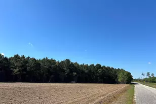 Tbd McClellan Rd, Hamer, SC 29547 - Photo 1