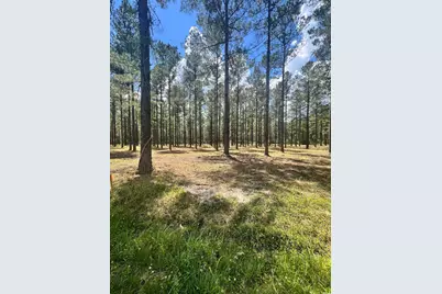 Lot 4 Ashley Circle, Conway, SC 29526 - Photo 1