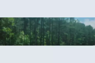 Puncheon Creek Dr., Andrews, SC 29510 - Photo 1