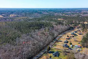 Lot 2 Hwy 472, Conway, SC 29526 - Photo 1