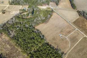 Tract 2 Kemper Church Rd, Lake View, SC 29563 - Photo 1