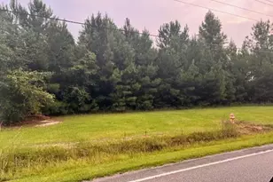 3991 Hwy 813, Conway, SC 29526 - Photo 1