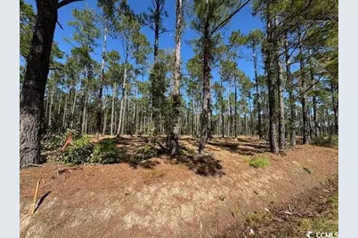 Tbd Salem Rd., Aynor, SC 29511 - Photo 1