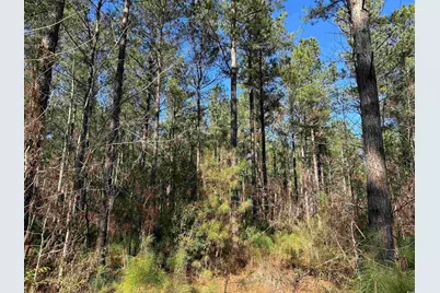 34 Acres - Tbd Easler Hwy, Greeleyville, SC 29056 - Photo 1