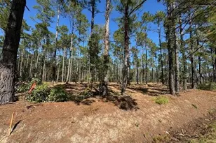 Tbd Hwy 319, Aynor, SC 29511 - Photo 1